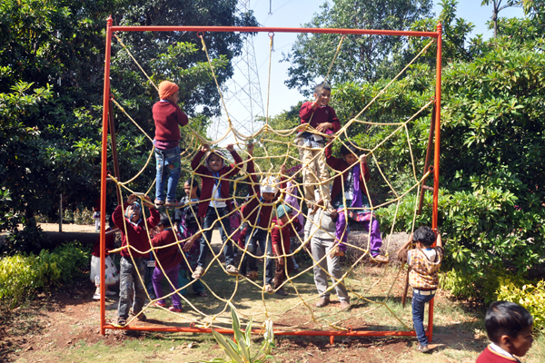 Fun Activity