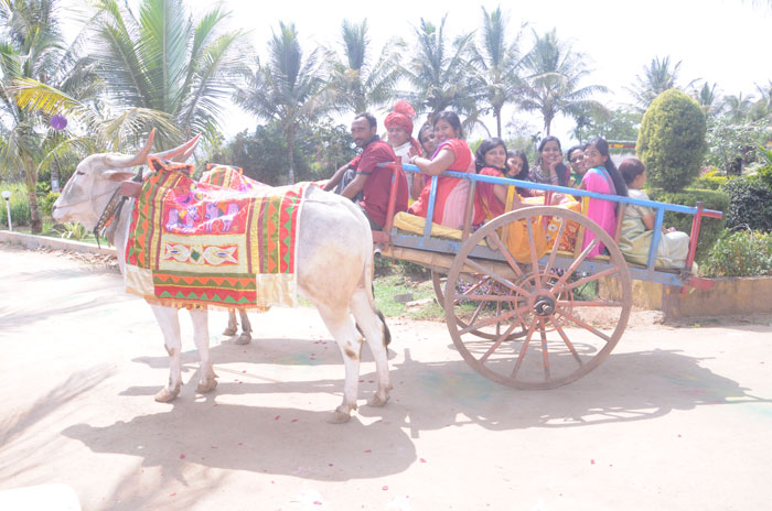 bullock cart